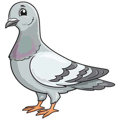 How to Draw a Pigeon - Really Easy Drawing Tutorial