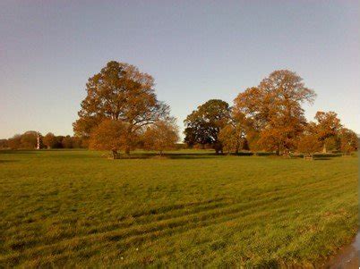 Commercialising Blickling Park — Restore Trust