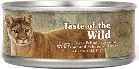 A Review of Taste of The Wild Cat Food | iPetCompanion