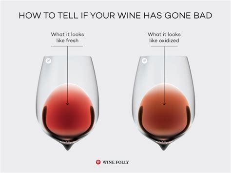 7 Common Wine Faults and How to Sniff Them Out | Wine Folly