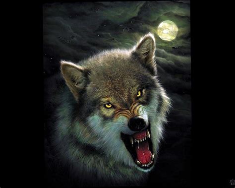 Angry Wolf Face Wallpapers - Top Free Angry Wolf Face Backgrounds - WallpaperAccess