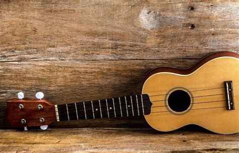 The 6 Most Popular Ukulele Wood Types and the Main Differences