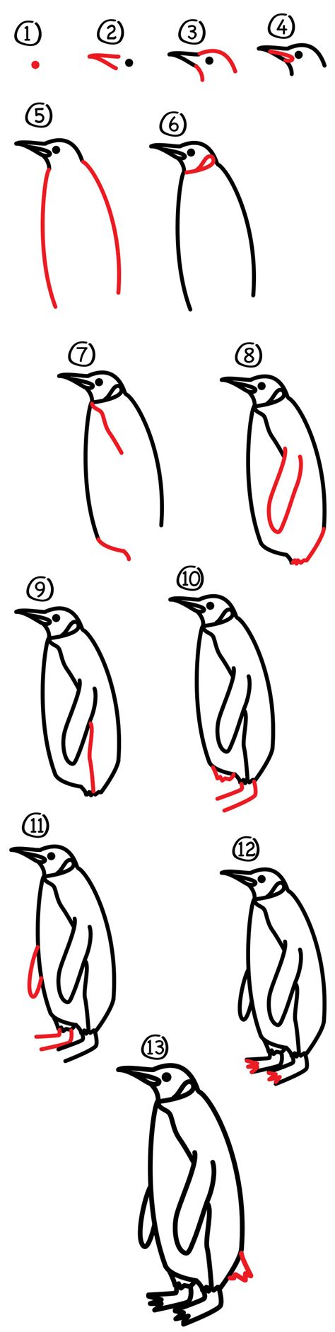 How To Draw A Realistic Emperor Penguin - Art For Kids Hub