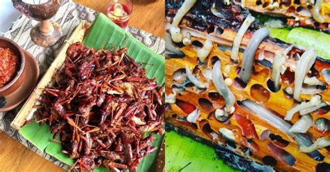 10 Makanan ekstrem khas Indonesia yang jarang diketahui