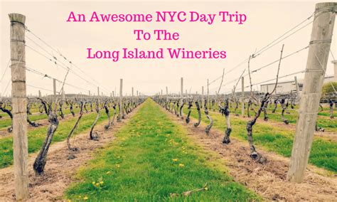 The Long Island Wineries | How To Visit And Have An Amazing Time