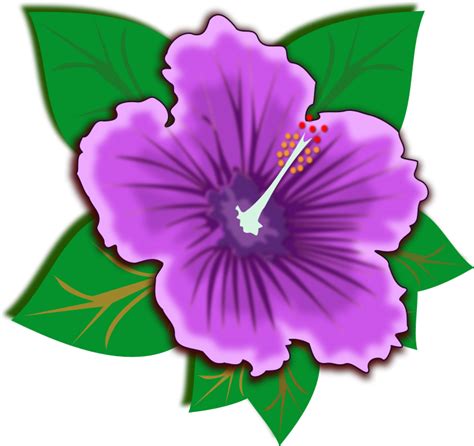 Flower Border Clipart Flower Border Hibiscus Border Flower Border Png | Sexiz Pix