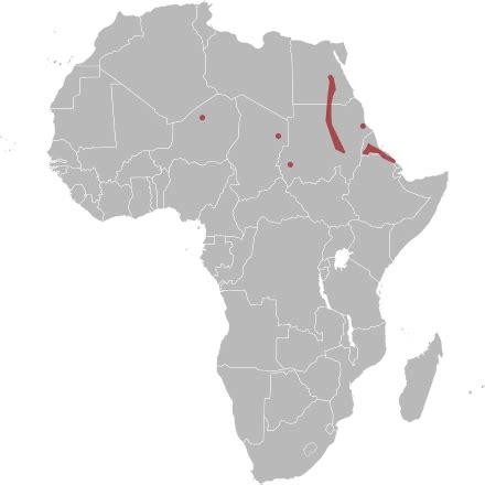 Nubian spitting cobra - Wikipedia
