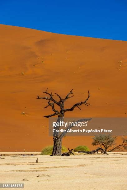 Namibian Culture Photos and Premium High Res Pictures - Getty Images