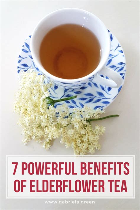 7 Powerful Benefits of Elderflower Tea - Gabriela Green