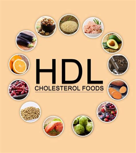 Foods That Raise Hdl