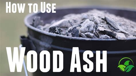 How to Use Wood Ash In The Garden - Wood Ash Fertilizer - Organic ...