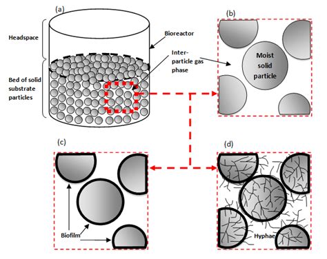 Design aspects of solid state fermentation as applied to microbial bioprocessing - MedCrave online