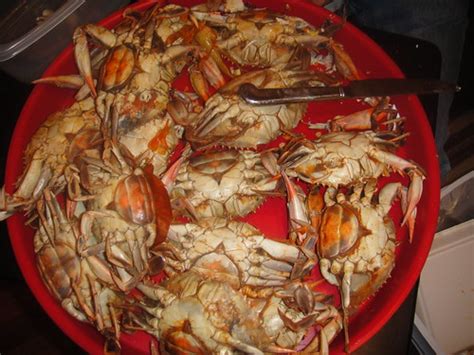 Louisiana Blue Crab Boil | violation69 | Flickr