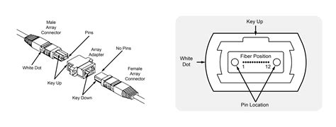 Basics of MTP/MPO Cables - AddOn Networks