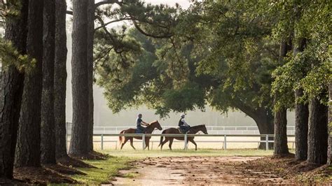 Things To Do In Aiken, South Carolina