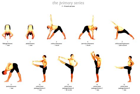 Different Yoga Poses Pictures - Work Out Picture Media - Work Out Picture Media