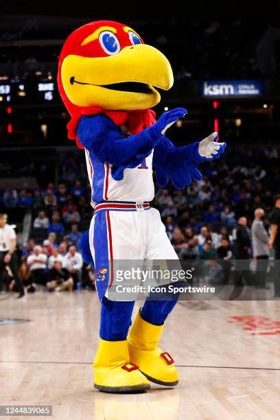 660 Kansas Jayhawks Mascot Stock Photos, High-Res Pictures, and Images ...