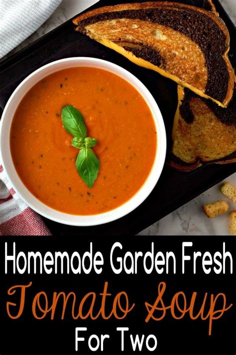 Fresh Tomato Basil Soup (35 Min) • Zona Cooks | Fresh tomato soup ...