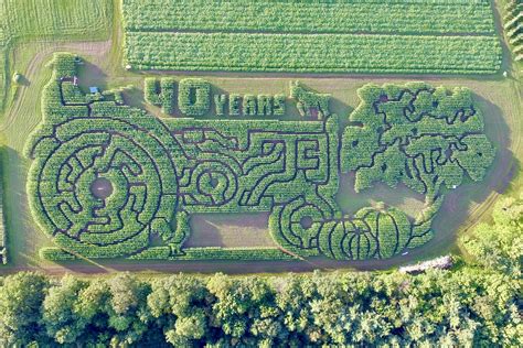 Cool Corn Maze