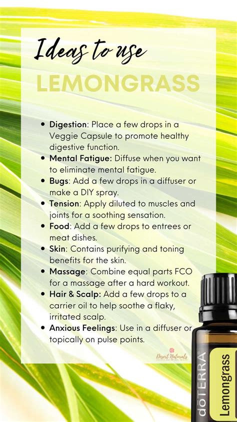 30 Benefits and ways to use lemongrass essential oil + diffuser blends