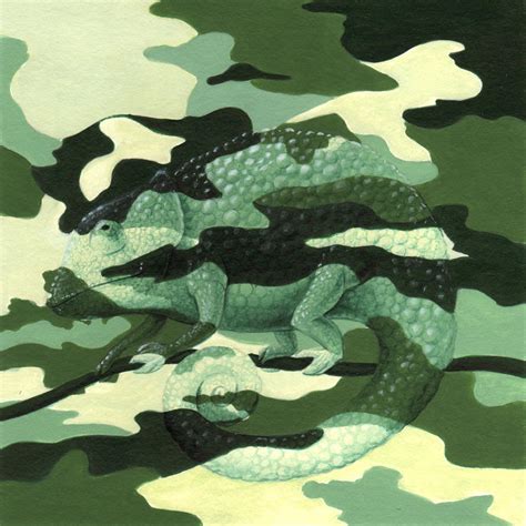 Camo Chameleon by D34tHn0Te on DeviantArt