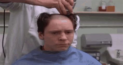 Head Shave Barber GIF – Head Shave Barber – discover and share GIFs