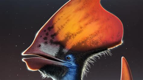 Fossil of Sick Pterosaur Crest Reveals Clues to Feather Color