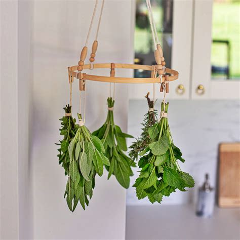 14 Best Herb Drying Rack Hanging for 2023 | CitizenSide