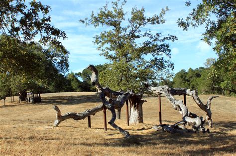 DryStoneGarden » Blog Archive » Runnymede Sculpture Farm