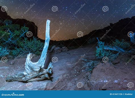 Desert Landscape at night stock photo. Image of night - 41441126