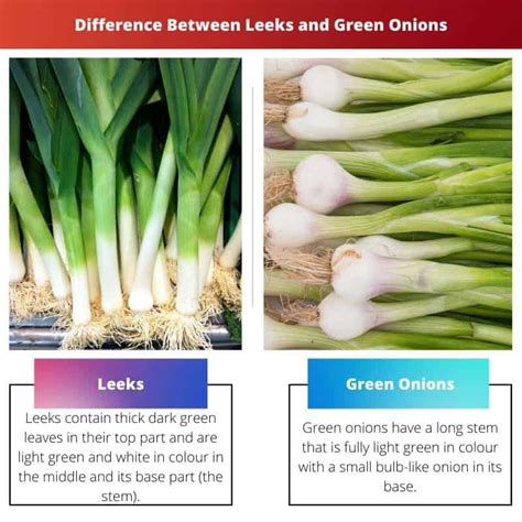 Leeks vs Green Onions: Difference and Comparison