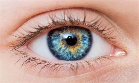 6 Amazing Facts About the Rarity of Blue Eyes - Auckland Eye