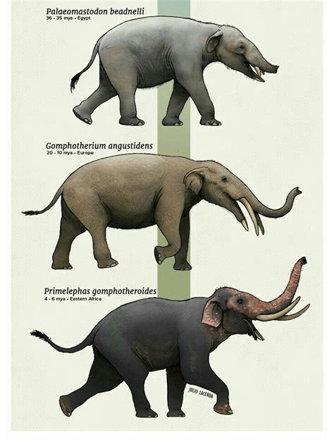 Pin on ancient animals | Prehistoric animals dinosaurs, Ancient animals ...