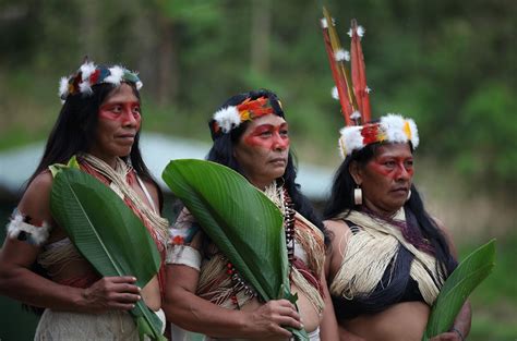 Central America, indigenous peoples are essential for conservation | LifeGate