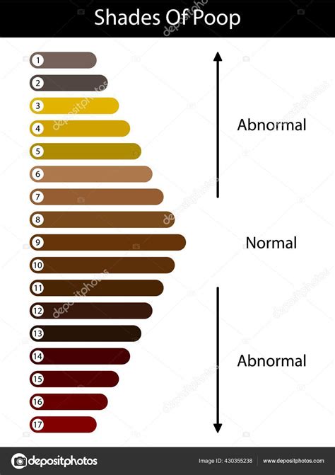 ポップの色合いの色 人間の糞色だ 健康的なコンセプト 正常値と異常値のスケール ベクトル — ストックベクター © Toxa2x2 #430355238