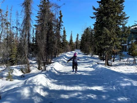 Yellowknife Winter Activities: 25 Ways To Explore The North