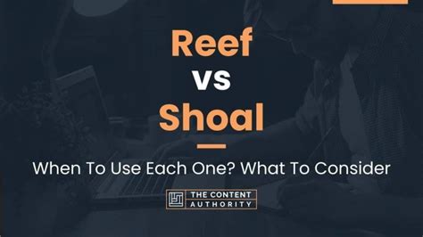 Reef vs Shoal: When To Use Each One? What To Consider