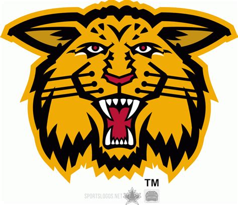 Moncton Wildcats Logo - Alternate Logo - Quebec Maritime Jr Hockey ...