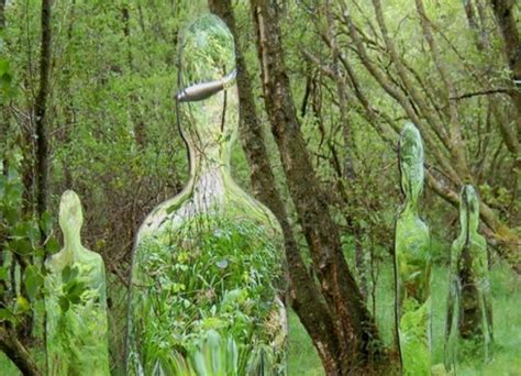 Surreal Forest Art Installation on Scottish Wood - Did Ya See?