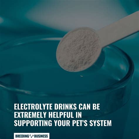 Electrolytes For Dogs – Definition, Disturbance, Imbalance, Recipe & FAQ