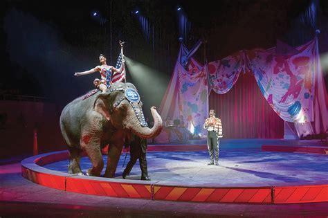 The Latest: Animal rights groups applaud Ringling Bros. | Salon.com