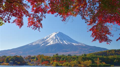 The Best Place For Fall Foliage Views In Japan