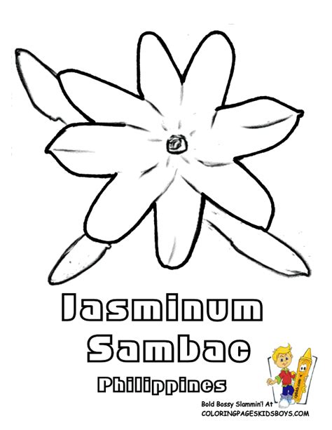 Jasminum Sambac Flower Coloring Sheet - Coloring Home