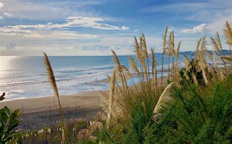 Raglan Is the Most Laid-Back Surf Town in New Zealand