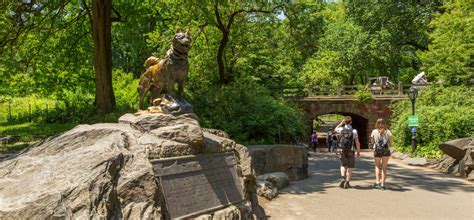 Balto Statue | Central Park Conservancy