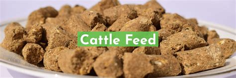 Cattle Feed LP - Unique Organics Ltd.