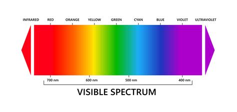 Visible light spectrum, infared and ultraviolet. Electromagnetic ...