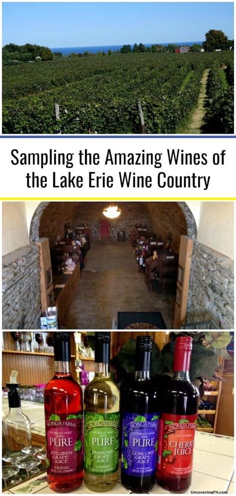 Sampling the Amazing Wines of the Lake Erie Wine Country - Uncovering PA