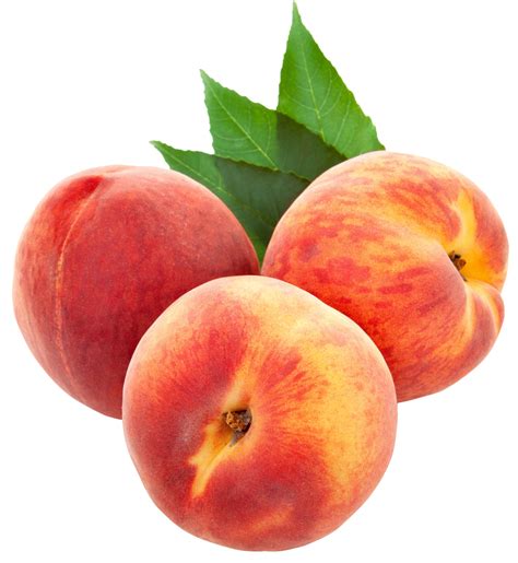 Peaches clipart pink peach, Peaches pink peach Transparent FREE for download on WebStockReview 2024