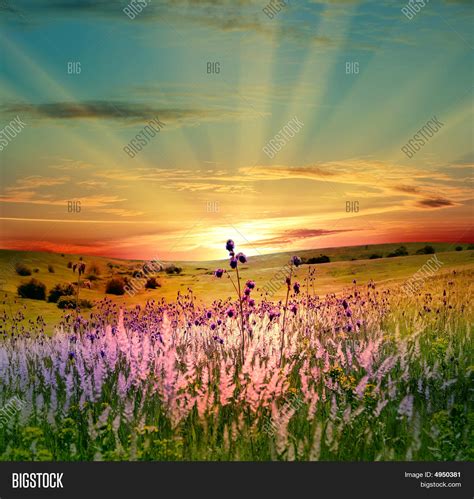 Sunset Field Image & Photo (Free Trial) | Bigstock